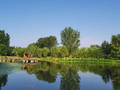 -东郊湿地公园