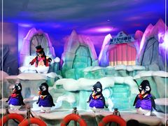 -帝企鹅自助餐厅•儿童岛•真企鹅(长隆企鹅酒店)