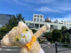 -台场海滨公园船码头