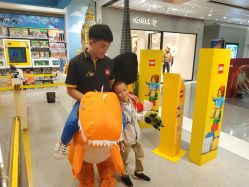 -乐高品牌旗舰店(人民广场店)