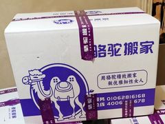 -骆驼日式搬家收纳整理