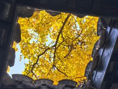 -无锡惠山寺