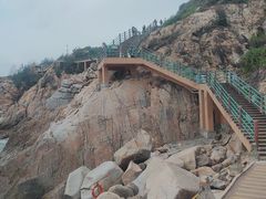 -广东惠东海龟国家级自然保护区