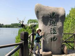 -溱湖国家湿地公园