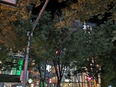 -炉小二铜锅牛蛙•川湘菜(三里屯店)