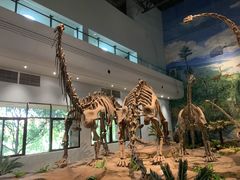 -自贡恐龙博物馆