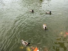 -团结湖公园