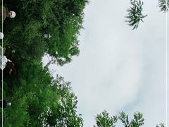 -北岭山森林公园