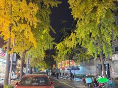 -奎星楼街
