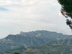 -重庆睡佛山森林公园