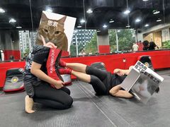 -极斗-IKMF马伽术·格斗运动学院(东直门店)