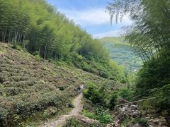 -东白山