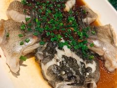 -南麓·浙里(外滩店)
