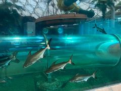 -天山海世界·米立方