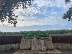 -合肥滨湖国家森林公园