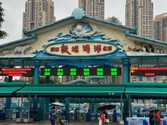 -海合安成都极地海洋公园