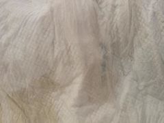 -秋歌护理·月嫂·育儿嫂(浦东医院店)