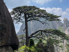 -黄山风景区