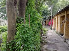 -园林美食城·本土农家菜(杨和镇店)