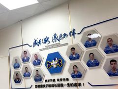 -康成宠物医院24H·CT·核磁共振