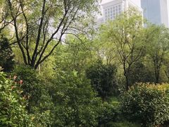 -唐城墙遗址公园