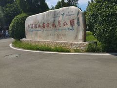 -微山湖红荷湿地景区