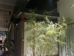 -青水瓦台汤泉(未央店)