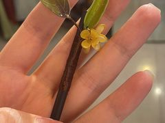 -暮晚尘香汉服旗袍