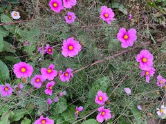 -汉长安城未央宫国家考古遗址公园