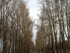 -赛汗塔拉草原公园