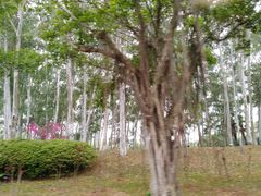 -福建鲤鱼洲酒店