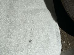 -禾尖S酒店(深圳大学店)