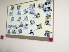 -乐博乐博少儿编程·机器人编程·信息学竞赛(杨浦五角场校区)
