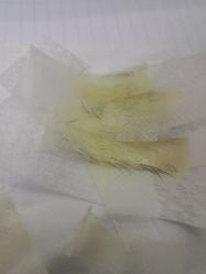 点击看大图 -蕾珂美