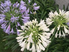 -嘉善路(地铁站)