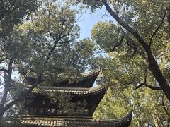 -西园戒幢律寺