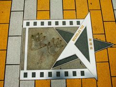 -星光大道