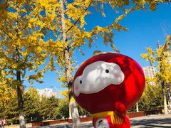 -永定河休闲森林公园