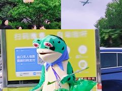 -大宁公园