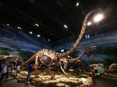 -自贡恐龙博物馆