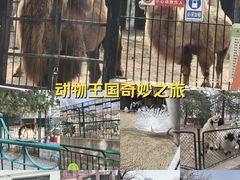 -保定市动物园
