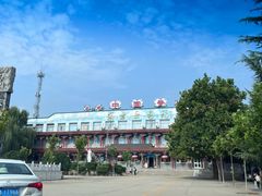 -东方巨龟苑景区