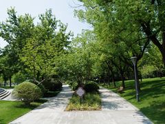 -颐景园