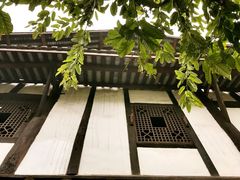-燊海井