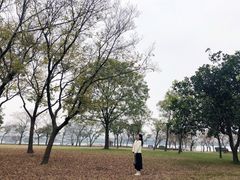 -蠡湖大桥公园