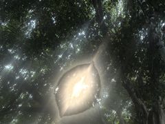 -厦门博饼民俗园