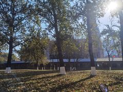 -山东大学(洪家楼校区)