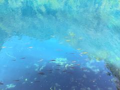 -小七孔景区-六十八级跌水瀑布