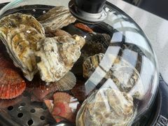 -巧克力渔家.小船海鲜胶东菜(万平口店)