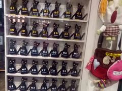 -猫咪博物馆(顶澳仔猫街店)